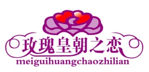 公司介绍